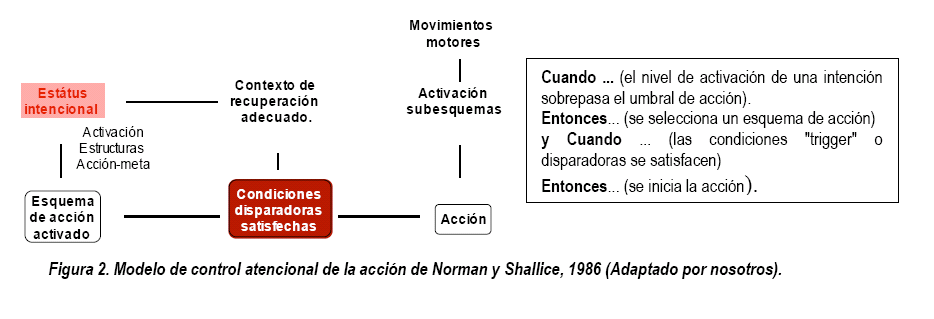 procesos cognitivos y neurológicos implicados en la secuencia intencional